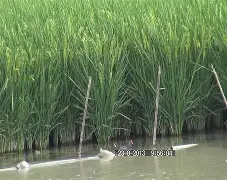 LOL平台官网-榛戦緳姹熺渷鑱岀鏈嶅姟骞冲彴